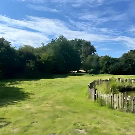 Wagner * Kleinmeinsdorf